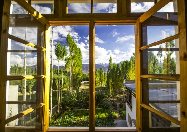 Wood Window Replacement in Longwood