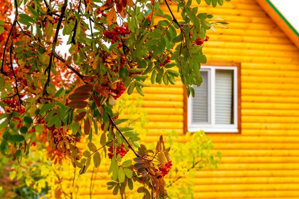 Cost of Garden Window Replacement in Longwood
